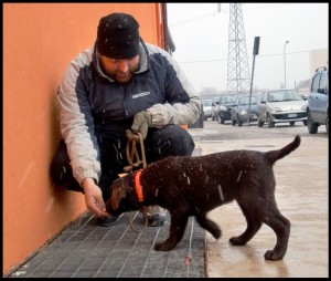 benny cucciolo che prende confidenza con le grate