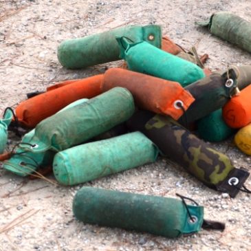 Equipaggiamento base per iniziare il Retriever Training