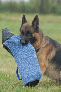 Dog-bite-sleeve-cover-Bite-Protection-Sleeve_LRG