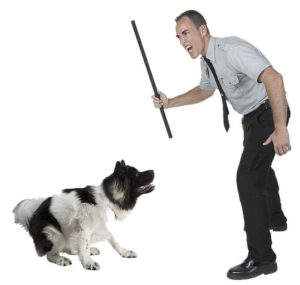 dog punished